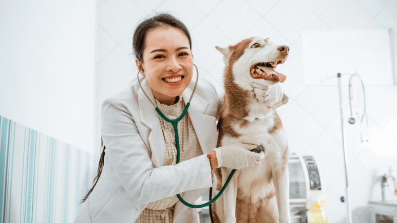 Mortgages for Veterinarians